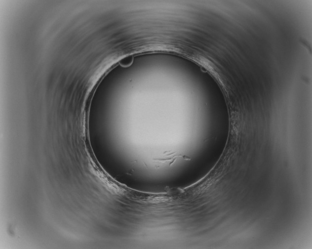 X0000101111140200806261406