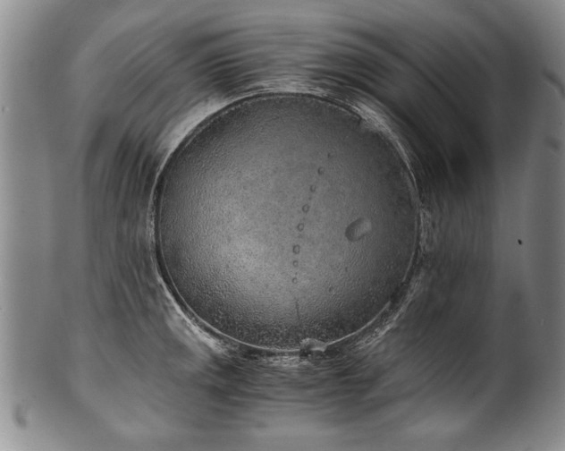 X0000101111141200806261406