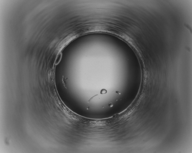 X0000101111145200806261406