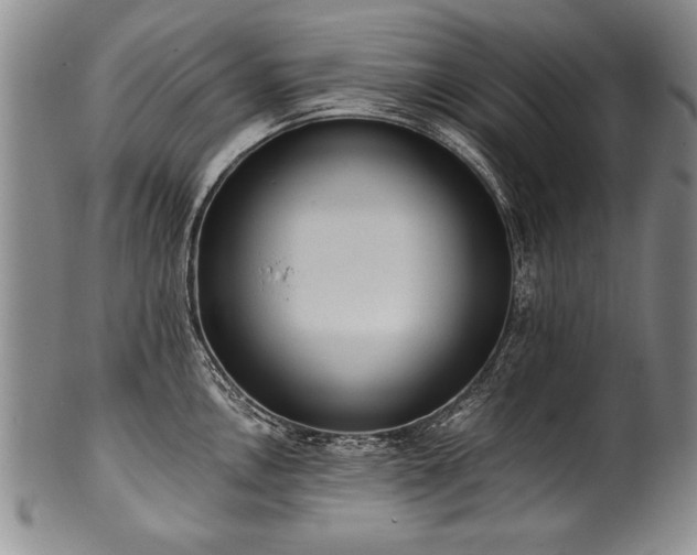 X0000101111146200806261406