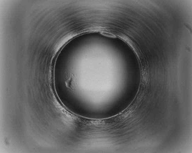 X0000101111147200806261406