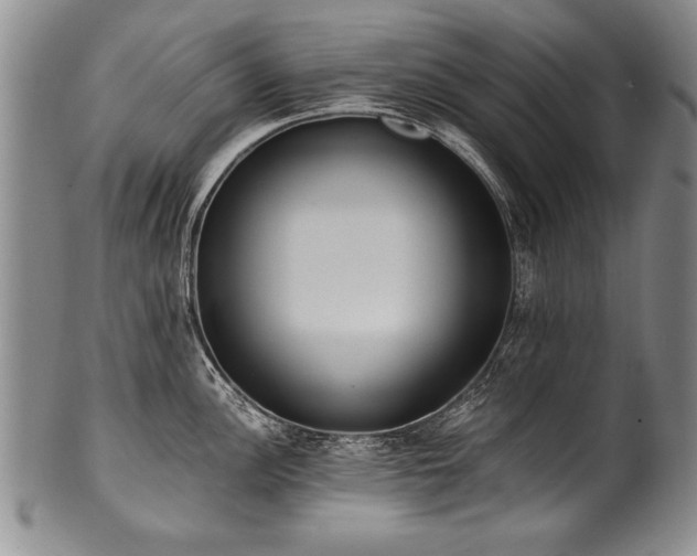 X0000101111148200806261406