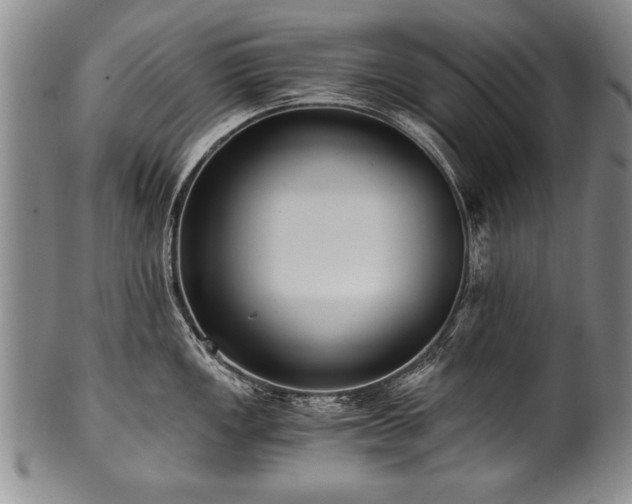 X0000101111149200806261406