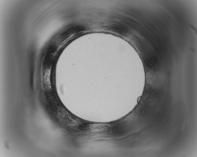 X0000101111150200806261406