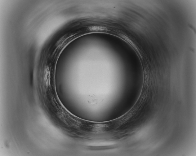 X0000101111151200806261406
