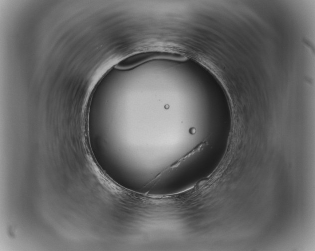 X0000101111152200806261406