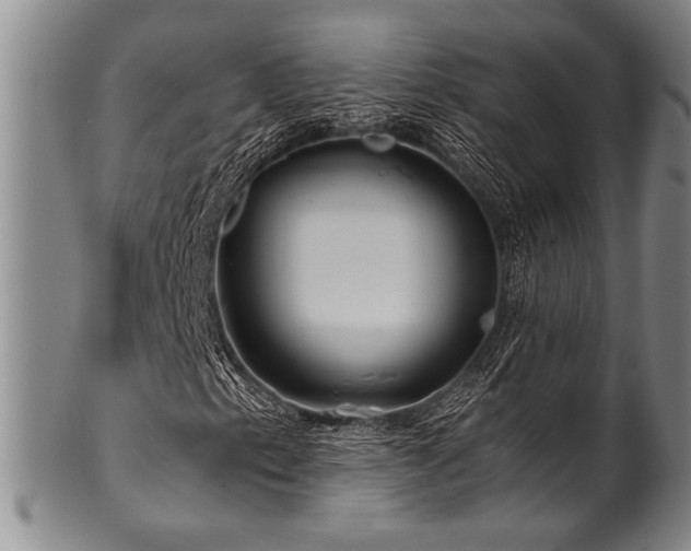 X0000101111153200806261406