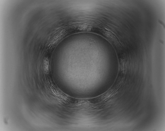 X0000101111154200806261406