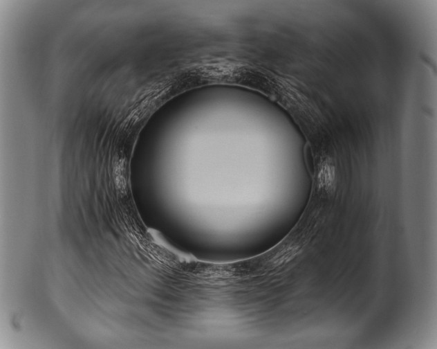 X0000101111156200806261406