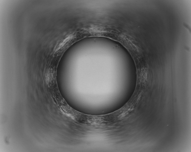 X0000101111157200806261406