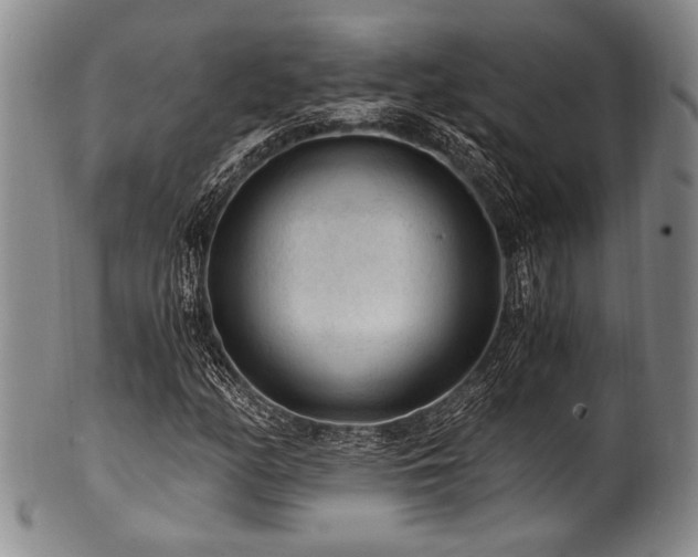 X0000101111158200806261406