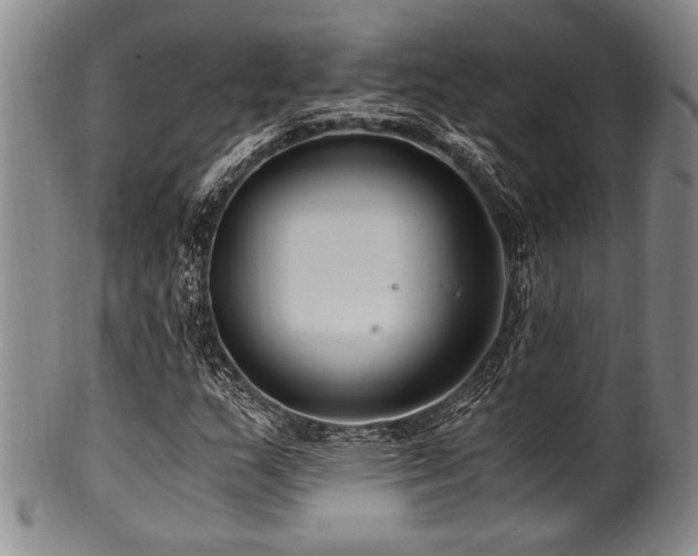 X0000101111159200806261406