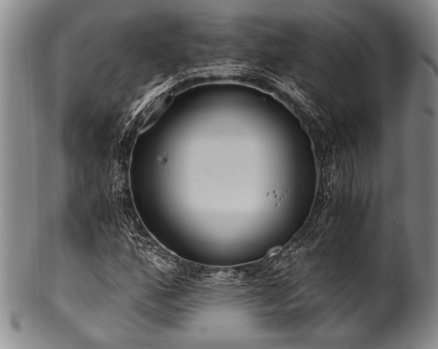 X0000101111160200806261405