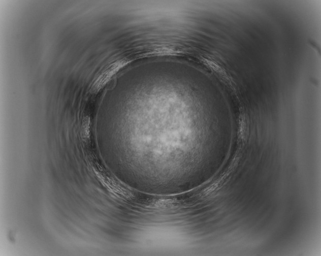 X0000101111161200806261405