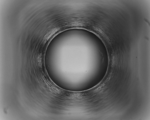 X0000101111162200806261405