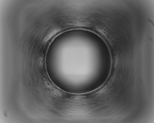 X0000101111163200806261405