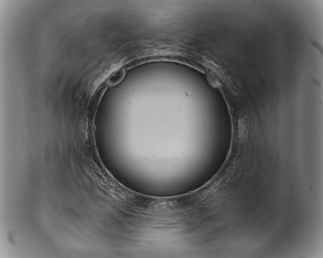 X0000101111165200806261405