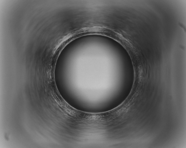 X0000101111166200806261405