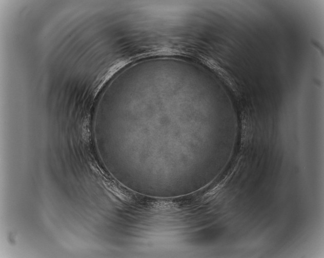 X0000101111170200806261405