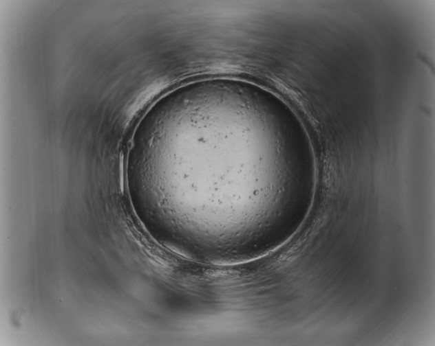 X0000101111171200806261405