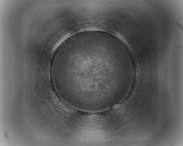 X0000101111173200806261405
