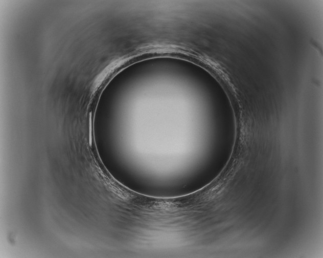 X0000101111175200806261405