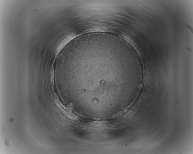 X0000101111179200806261405