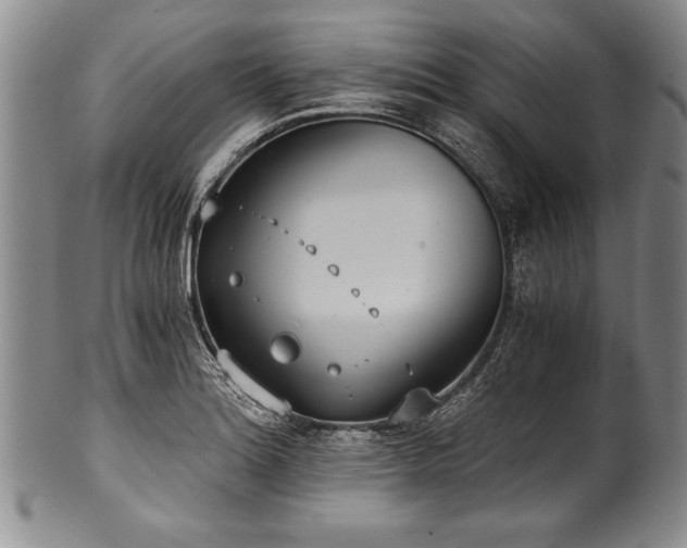 X0000101111180200806261405