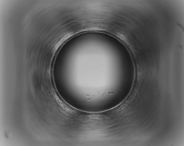 X0000101111181200806261405