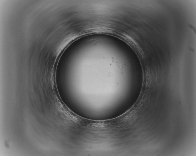 X0000101111182200806261405