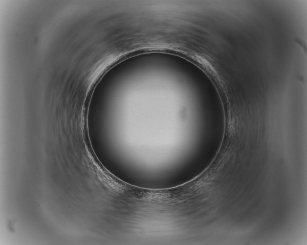 X0000101111183200806261405