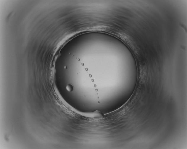 X0000101111184200806261405