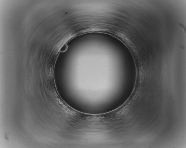 X0000101111185200806261405