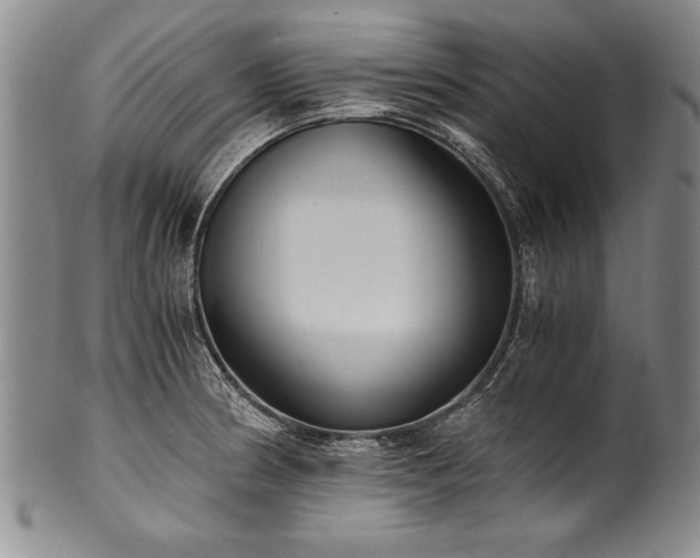 X0000101111186200806261405