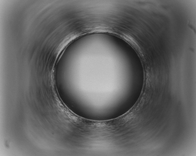X0000101111190200806261405