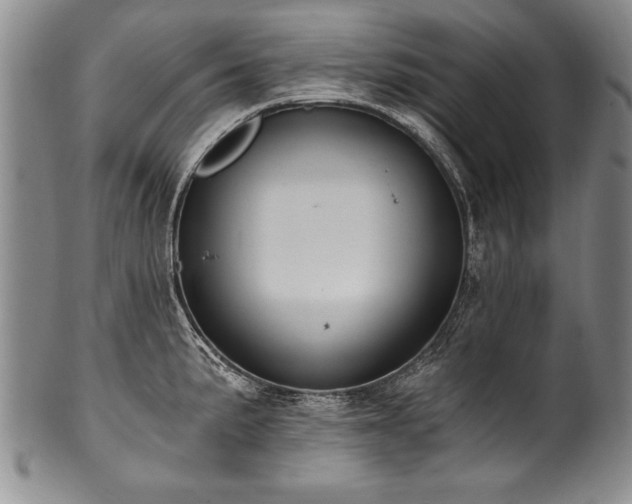 X0000101111191200806261405