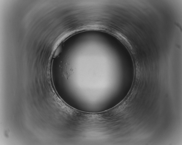 X0000101111192200806261405