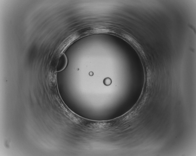 X0000101111193200806261405