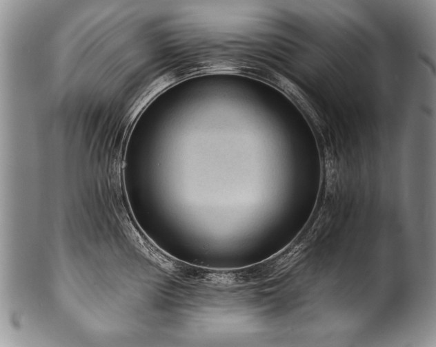 X0000101111194200806261405