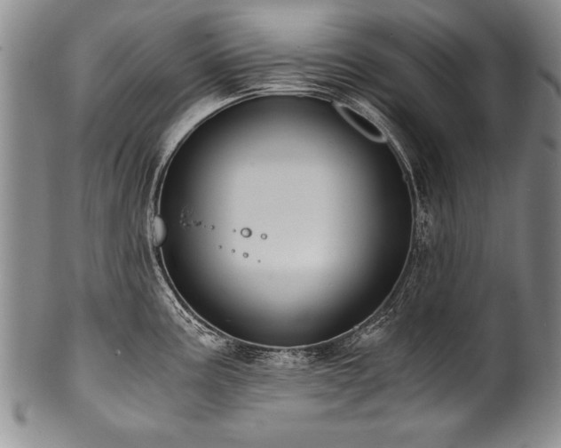 X0000101111195200806261405