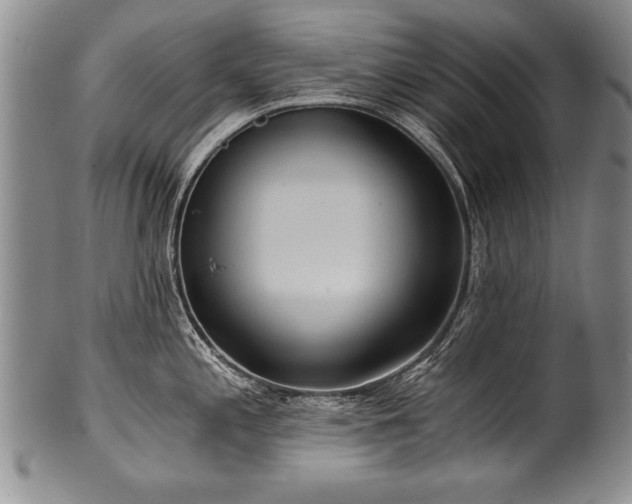 X0000101111197200806261405
