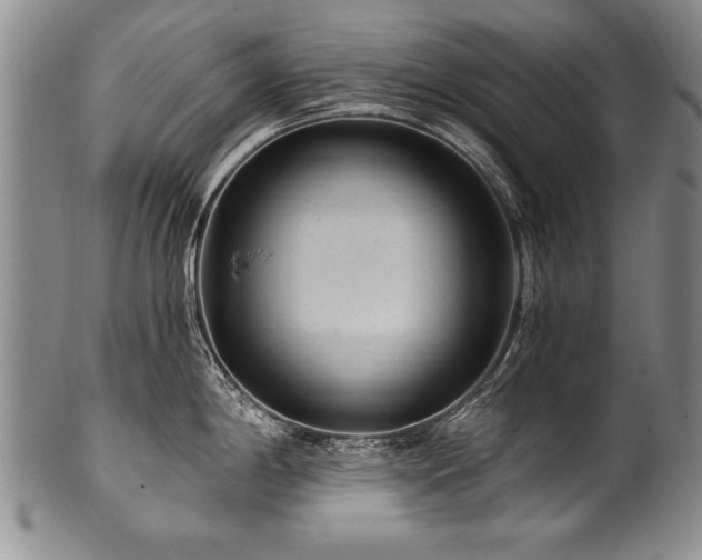 X0000101111198200806261405