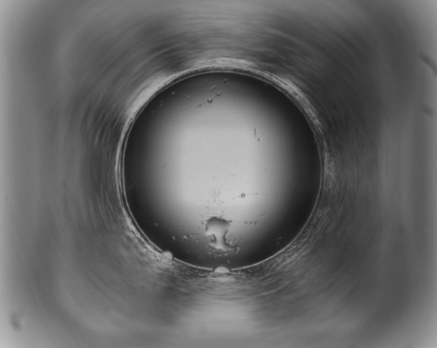 X0000101111199200806261405
