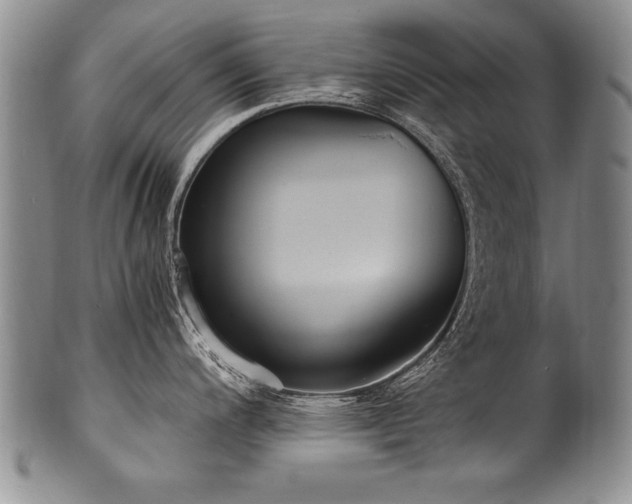 X0000101111200200806261405