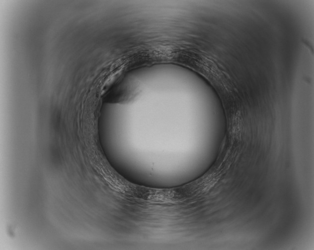 X0000101111201200806261404