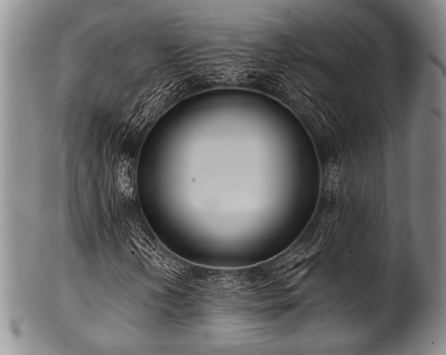 X0000101111202200806261404