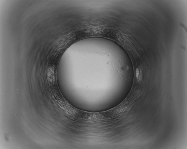 X0000101111203200806261404