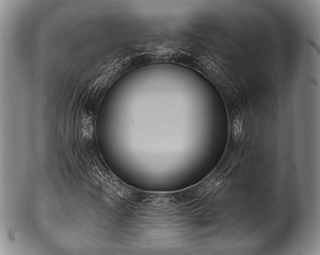 X0000101111204200806261404