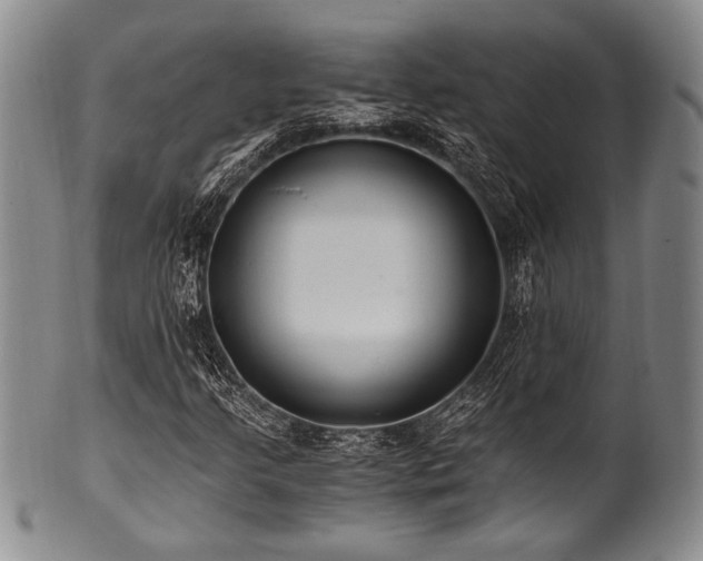 X0000101111205200806261404