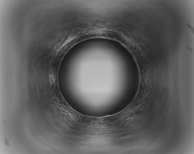 X0000101111206200806261404